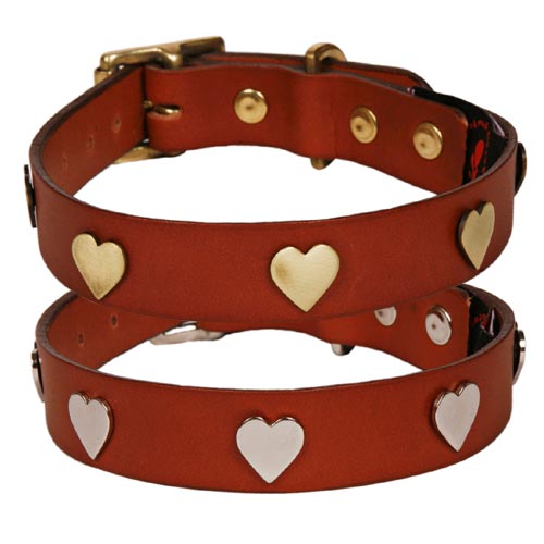 Tan Leather Studded Dog Collars UK