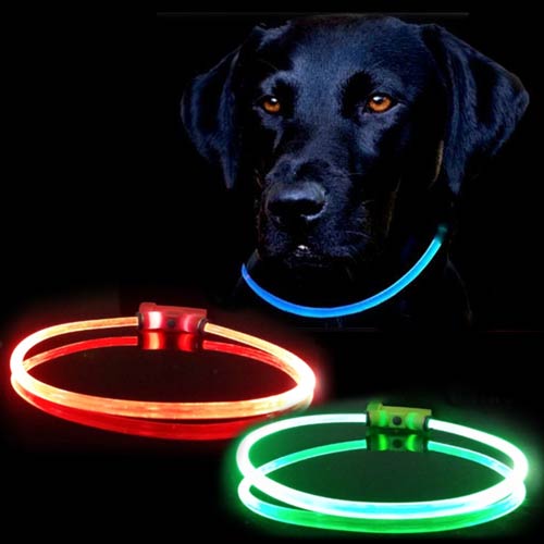 Lumitube LED Lightup Dog Safety Collar Waterproof