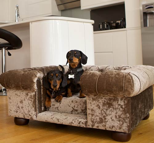 Balmoral Truffle Velvet Luxury Dog Sofa