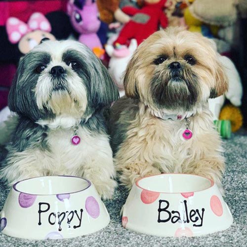 Personalised Dog Bowls - Dotty Slanted