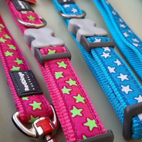 Red Dingo Dog Lead Lime Stars on Hot Pink