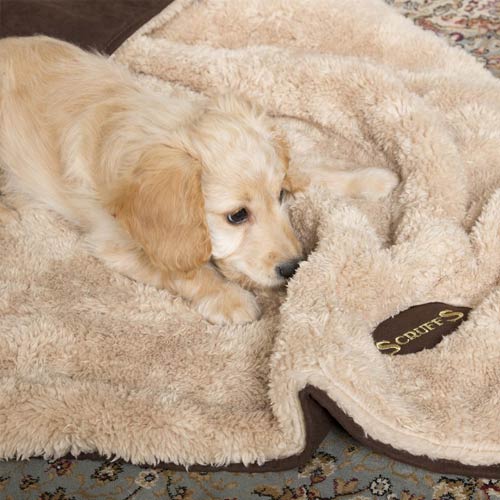 Scruffs Snuggle Dog Blanket