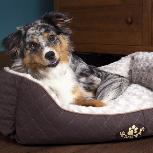 Wilton Quilted Dog Bed