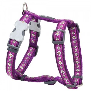 Red Dingo Dog Harness Daisy Chain Purple