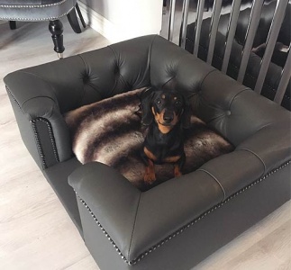 Sandringham Grey Real Leather Dog Bed