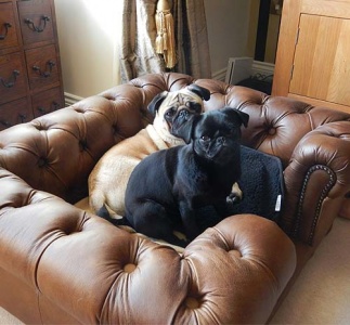 Balmoral Natural Real Leather Dog Sofa