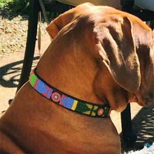 Masai Beaded Dog Collar - Pastel