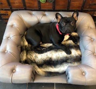 Balmoral Steel Grey Faux Leather Dog Sofa