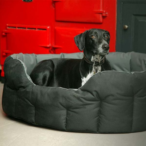 waterproof dog beds oval