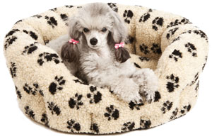 warm sherpa fleece dog bed