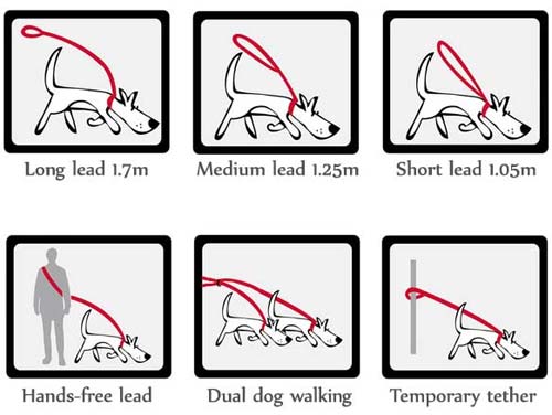 Red Dingo double ended training lead