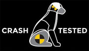 crash tested dog car harness
