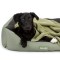 Expedition Waterproof Box Bed