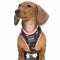 FuzzYard Dog Harness - Fabmingo
