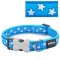 Red Dingo Dog Collar White Stars on Turquoise