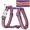 Red Dingo Dog Harness Dreamstream Purple