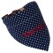 Colour: Navy Polka with Red Embroidery