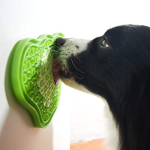 distract your dog with a lick mat