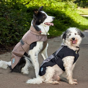 waterproof dog coats