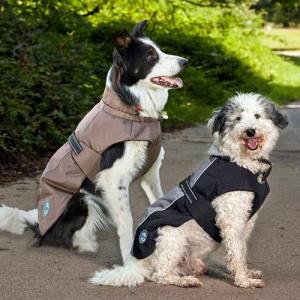 waterproof dog coats
