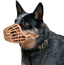 box muzzle for dogs