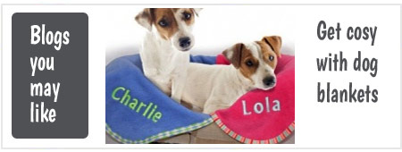 Dog blankets UK