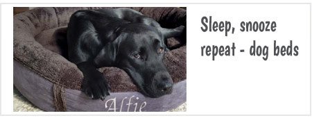 Dog beds UK