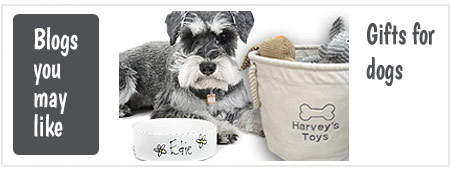 Gifts for Dogs UK