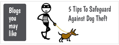 5 Tips To Safeguard Against Dog Theft
