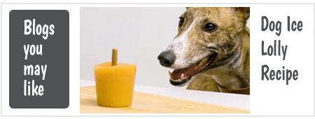 Summer Dog Ice Lolly Recipe