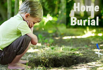 Burying Your Dog At Home Pet Home Burial D For Dog