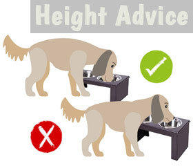 Raised dog bowl height advice
