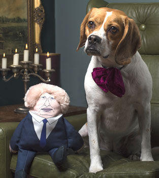Boris Johnson dog toy by Pet Hates Toys