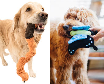 cute bug plush dog toys