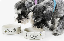 Ceramic Dog Bowls