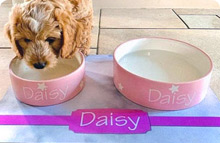 Dog Bowl Mats