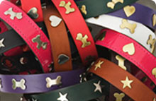 Leather Dog Collars