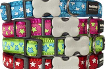 Nylon Dog Collars & Leads