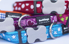 Patterned Dog Collars