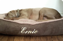 Personalised Dog Beds