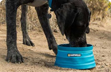 Travel Dog Bowls