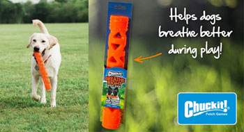 Chuckit Breathe Right Dog Fetch Stick