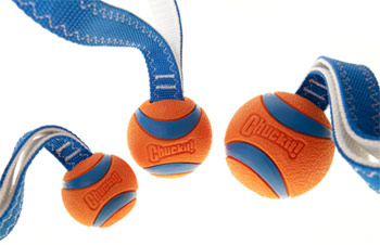 Chuckit Ultra Tug | Dog Tug Toys