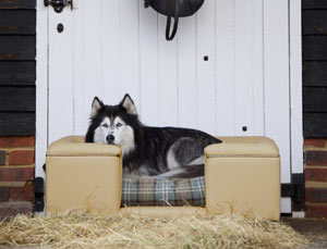 cream faux leather dog bed