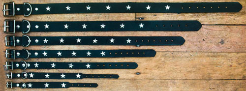 leather dog collar sizes