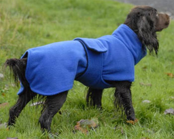 Ultimate dog drying coat