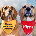 Personalised Dog Bandana