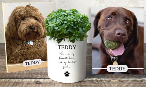 Personalised pet memorial flower pots