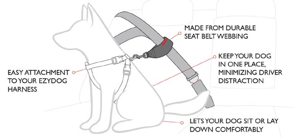 dog car seat belt loop restraint