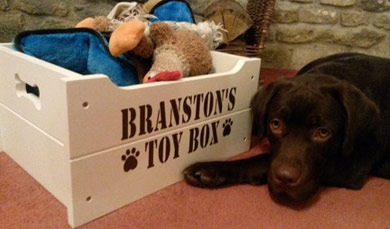 wooden dog toy box personalised